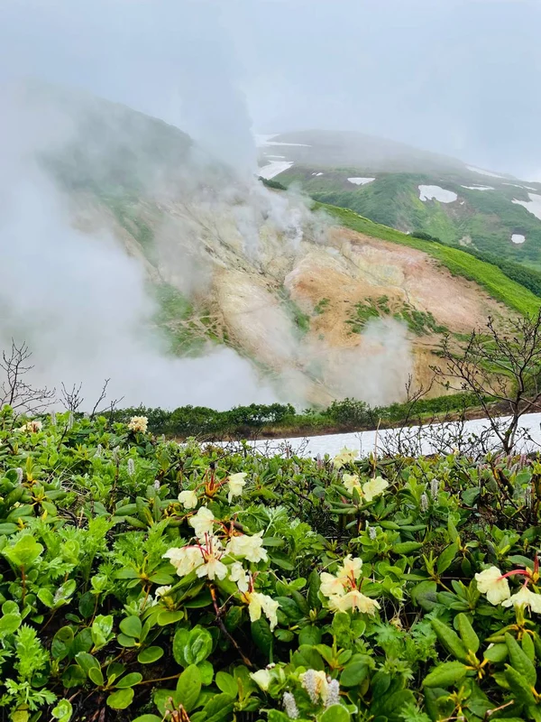 Малая долина гейзеров + водопад Спокойный + купание в диких источниках