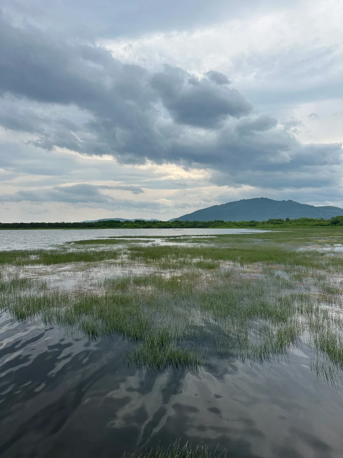 Прогулка/Рыбалка на комфортабельной аэролодке "Аллигатор"